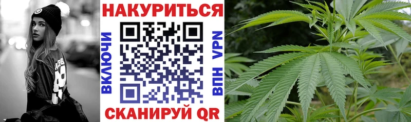 Купить где  Харовск  МАРИХУАНА сатива 